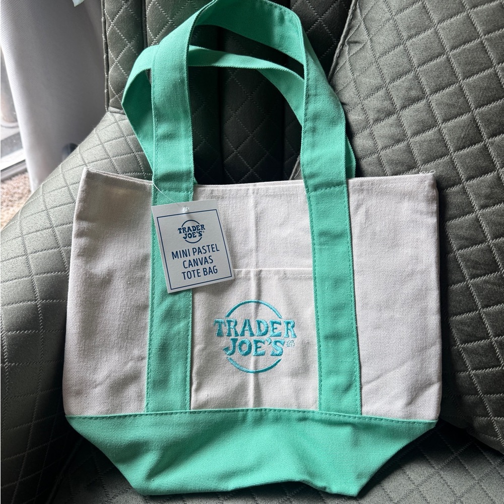 NWT Mint green Trader Joe’s Mini Pastel Canvas Tote Bag